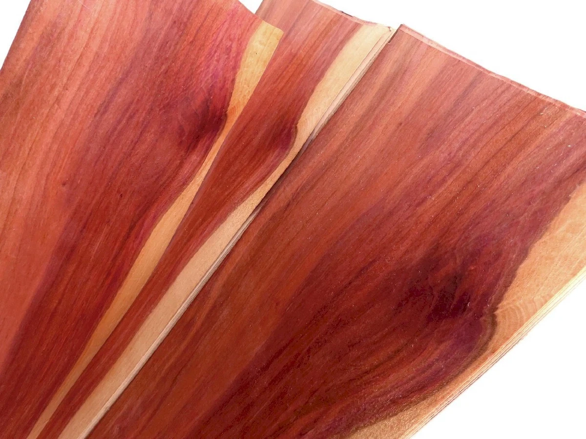 24 hojas CIRUELA CIRUELA chapa chapa de madera auténtica hoja construcción de muebles estante madera noble