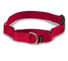 PetSafe Martingale Dog Collar Quick Snap Buckle Choose Black or Red Small Medium