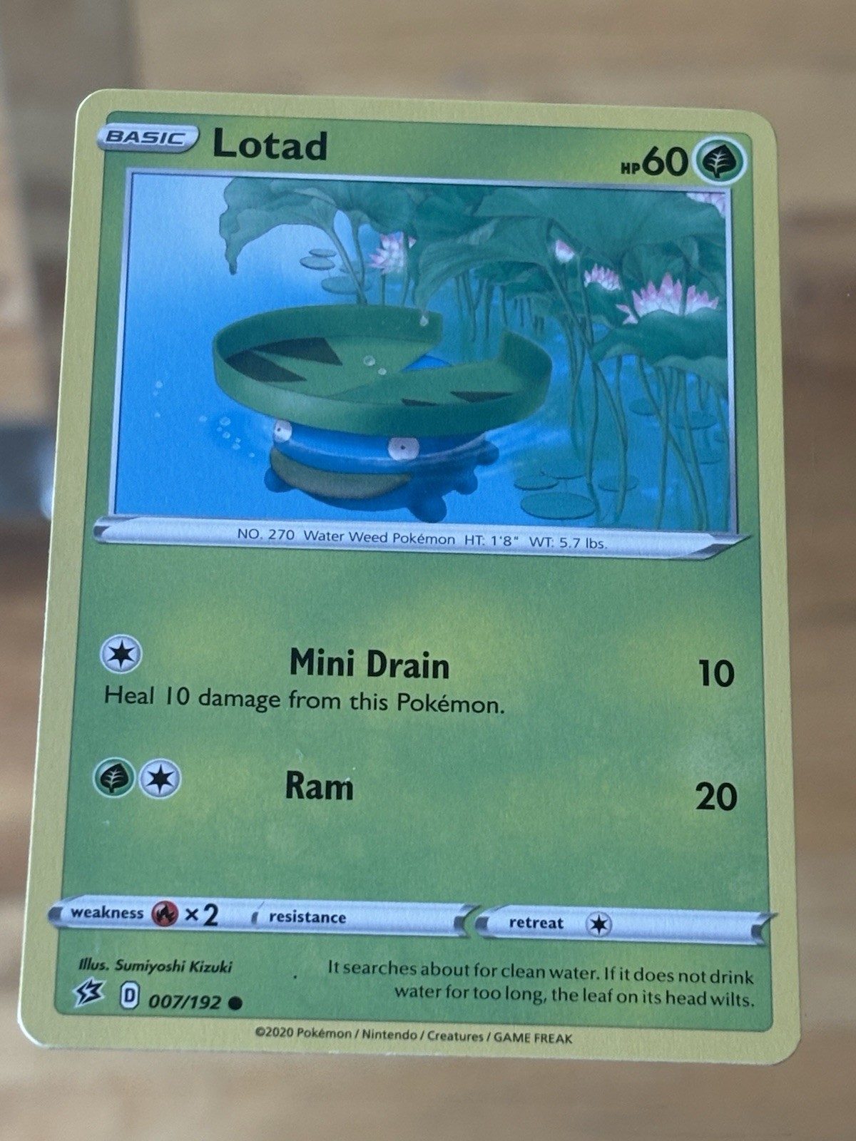 Lotad - 007/192 - Common Pokemon Card