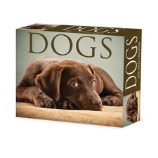 Dogs 2026 5.4" x 6.2" Box Calendar