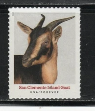 5589 * SAN CLEMENTE ISLAND GOAT *   U.S. Postage FOREVER Stamp MNH