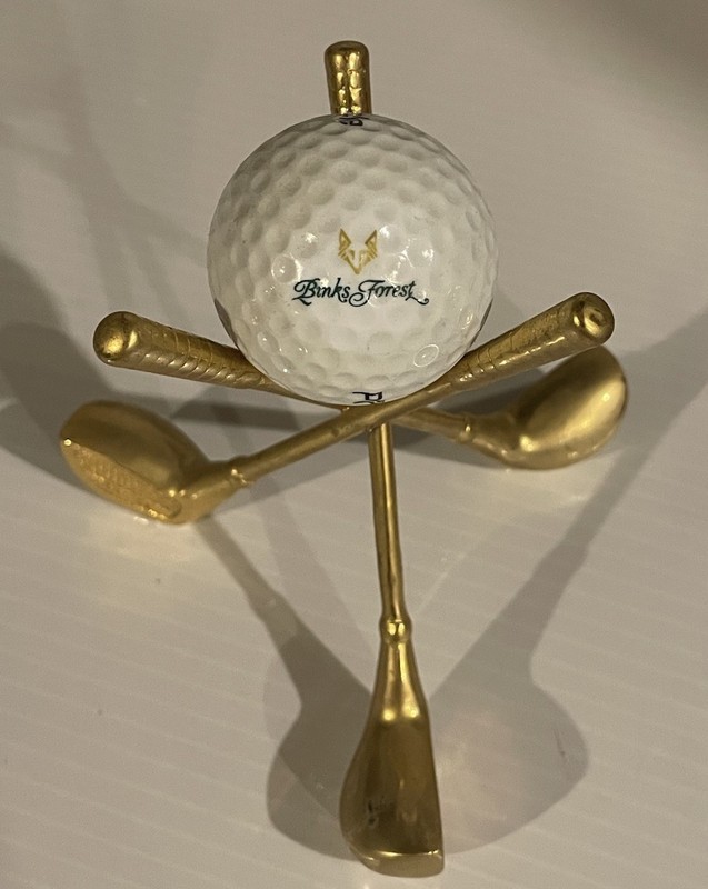 Binks Forest Golf Club Logo Golf Ball Wellington, FL 