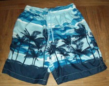 Islander Hawaiian Swim Trunks Palm Trees Waist 26  S/G