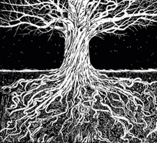 Infandous - Blood  the Sun and the Cosmos CD 2013 digi black metal