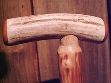 walking stick Antler handle MAPLE wood shaft antler tip with spare rubber bottom