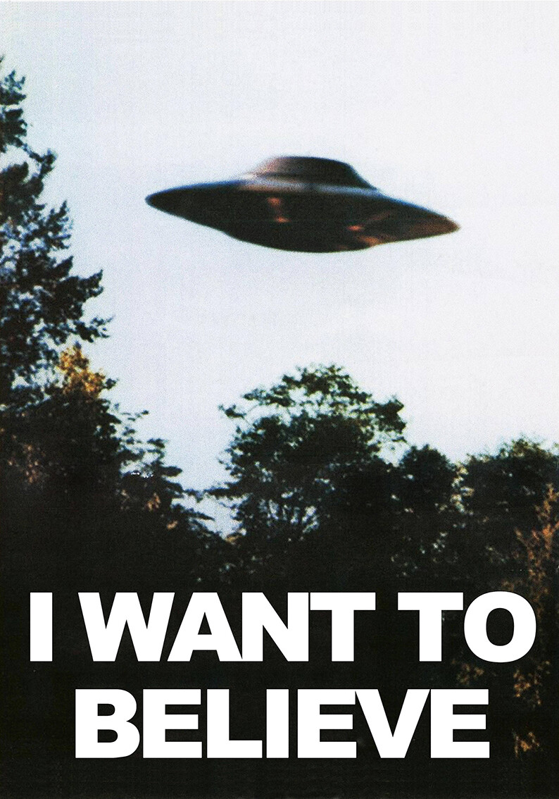 I Want to Believe Poster Plakat X Files #281