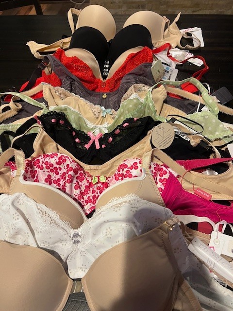 NWT-Bras for women-Set of 13- Size 32D, Curvy Kate, Freya, Hint 8 and More