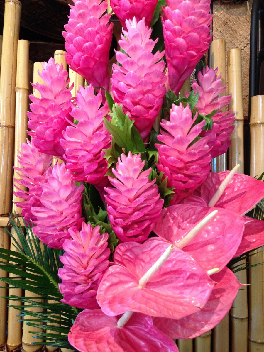 【pink hawaii】 Pink Hawaii Warriors 20