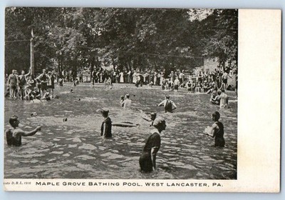 1910 Lancaster Pennsylvania PA Vintage Postcard Maple Grove Bathing Pool West