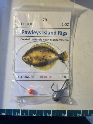 Pawleys Island Rigs 79 Carolina Rig 1oz | eBay