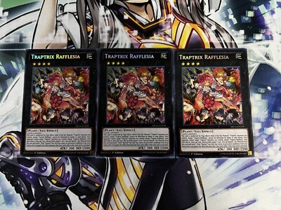 X3 Yugioh Traptrix Rafflesia Mp16-en239 1st Edition Secret Rare Near Mint  X3 | eBay