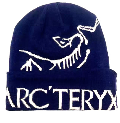 Bird Word Night Sky Toque Cuffed Concept Beanie. NWT. Factory 2nd