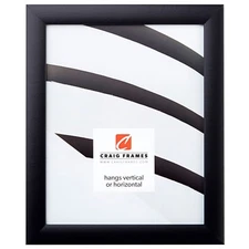 Craig Frames 24x36 Poster Frame, 1" Modern Satin Black w/ Clear Cover & Backing