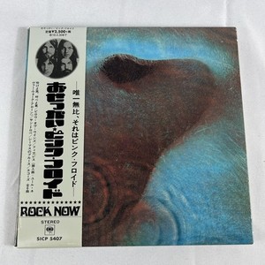 Pink Floyd Meddle | eBay
