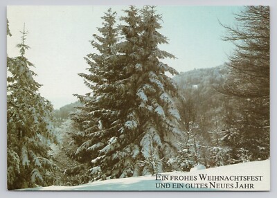 Ein Frohes Weihnachtsfest Und Ein Gutes Neues Jahr Postcard