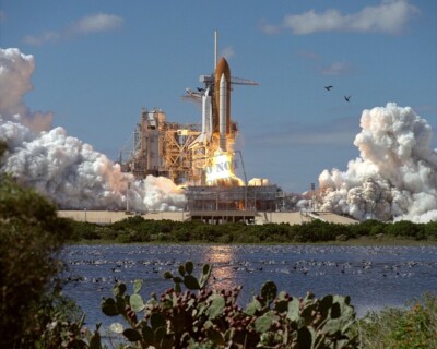 STS-66 Launch hundreds of birds scatter Space Shuttle Atlantis 8X12 PHOTOGRAPH