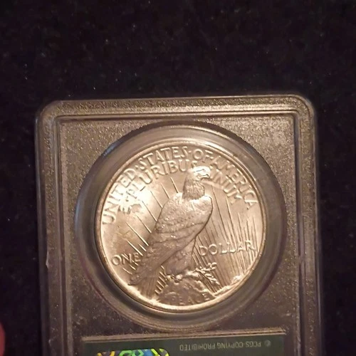 1922 Peace Dollar Ms63 Og Green Holder Pcgs