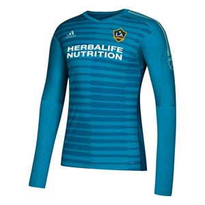 adipro 21 goalkeeper jersey