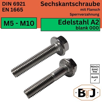 DIN 6921 Flanschschraube Edelstahl A2 V2A Sechskantschraube Flansch M5 M6 M8 M10