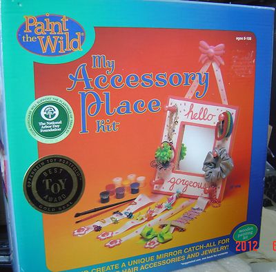 NEW Paint the Wild My Accessory Place Kit Age 8 - 108 Wooden Painting CRAFT