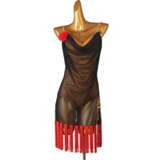 Professional Latin Tassels Competition Dress Costume Rumba Samba Custom Made