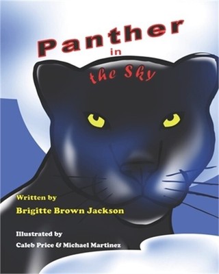 Panther in the Sky (Paperback or Softback)