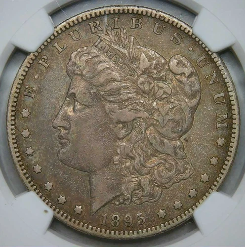 KEY DATE__1895-S__VF 30__Morgan Silver Dollar__LOW SURVIVAL__NGC, Coin