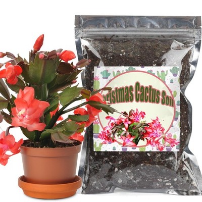 Christmas Cactus Potting Soil Mix 4qt for Succulents and Indoor Plants