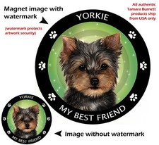 Yorkshire Terrier Yorkie My Best Friend Dog Car Magnet