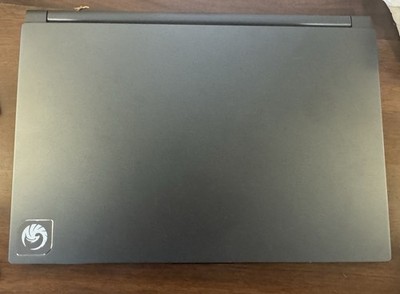 MSI Delta 15 A5EFK 15.6'' Gaming Ryzen 7 16GB 1TB SSD RX 6700M W11 Gray