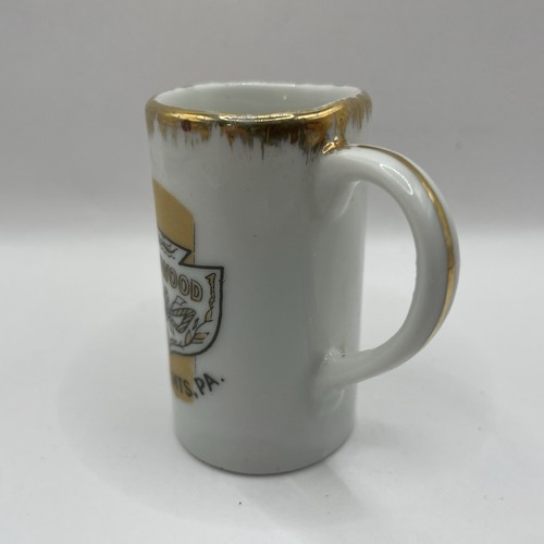 Vintage Mini Souvenir Stein Fernwood Pocono Mts, PA - Bild 5 von 9