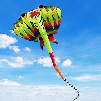 Kites for Adults Giant 41ft Stingray Kite for Adults and Kids Large & Beach K