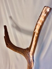 Driftwood floor lamp “The Old Tree”