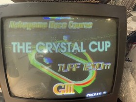 Gallop Racer Jamma board (PCB) for Arcade game 100 % Working & Original