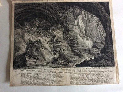 Luchse-", Kupferstich von Joh. Elias Ridinger 1763  RNT - Bild 1 von 2