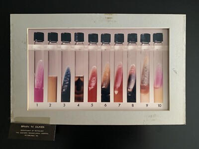 Vintage Brian M. Dukes Department of Pathology Test Tubes Print