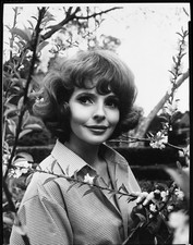 Madlyn Rhue années 60 séance photo publicitaire négatif studio vintage 8x10