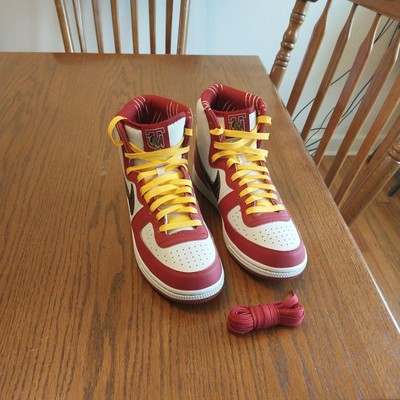 Nike Tuskegee University x Terminator High Golden Tigers