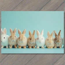Art Print Rabbit Bunnies Posing Line Funny Hare Pure Cuteness Adorable Studio