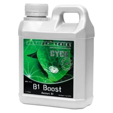 Cyco B1 Boost, L