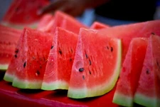50 Crimson Sweet Watermelon Seeds - Up to 25lb Melons! - AAS Winner!