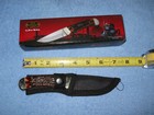 c...New Frost Cutlery Bowie SW-101BRMJBrown Molasses Jig Bone Handle Fixed Blade