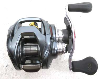 DAIWA STEEZ A TW 1016SH Right Handle Baitcast Fishing Reel | eBay 