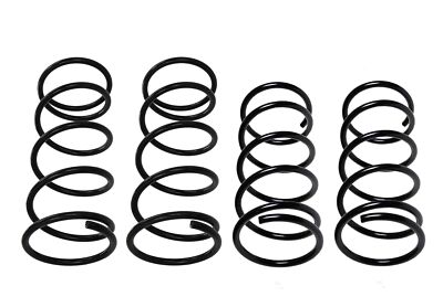 Lesjofors Front and Rear Coil Springs Kit For Nissan Maxima J30 SE GXE 89-94