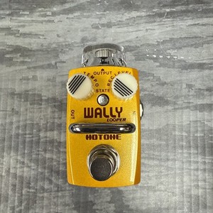 Hotone skyline Wally Looper Pedal w/ Box and Manual