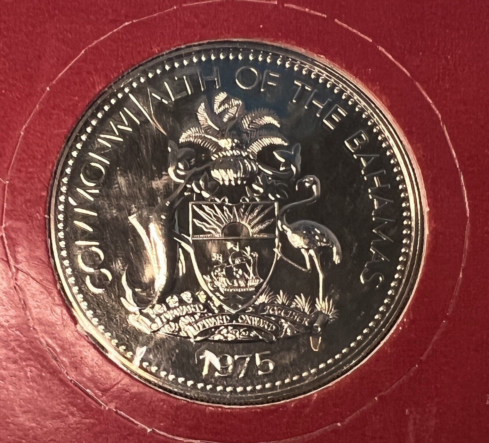 Picture 2 of 4