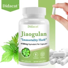 Jiaogulan Extract 30 To 120 Vegan Capsules 10:1 400mg Gynostemma pentaphyllum