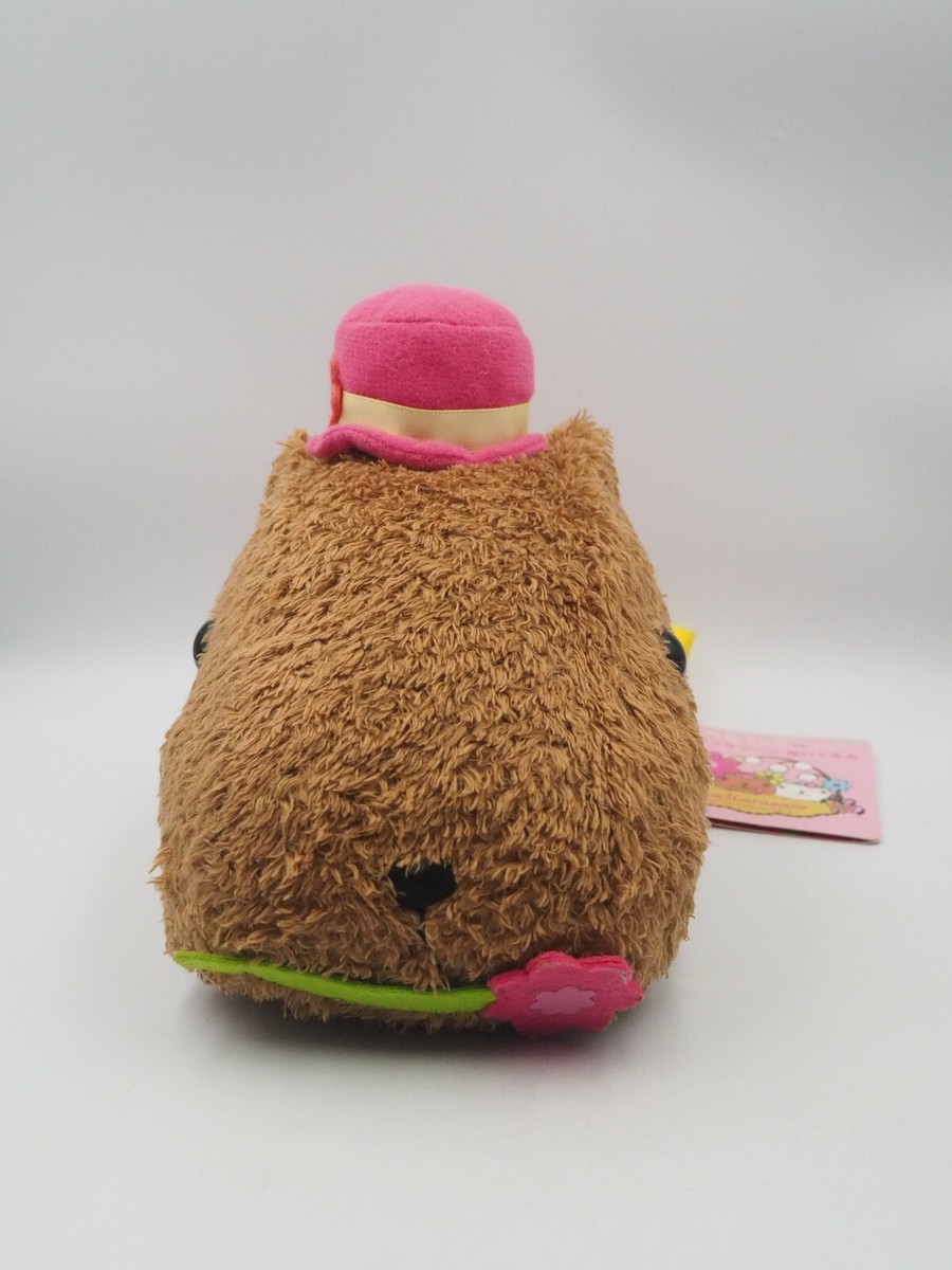 KAPIBARA Capybara Crossing 16