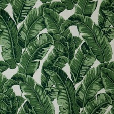 Sunbrella Tropics Jungle 145214-0000 54" Wide Upholstery Furniture Fabric