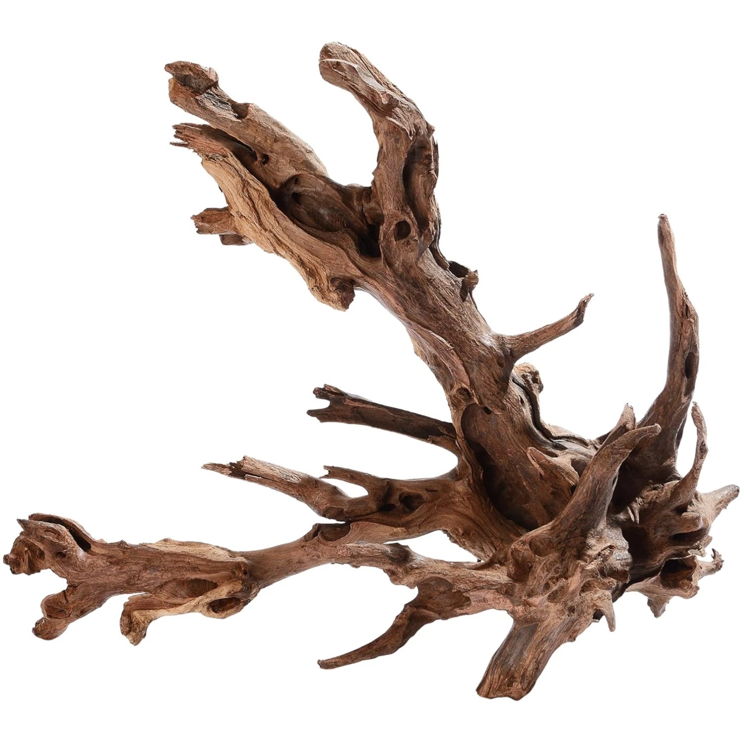 Handpicked Driftwood for Aquariums, Reptiles
Opens in a new window or tab